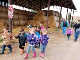 Děti z MŠ na farmě v Holanech