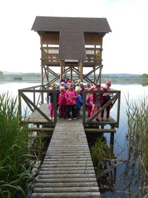 Výlet dětí z MŠ k Novozámeckému rybníku